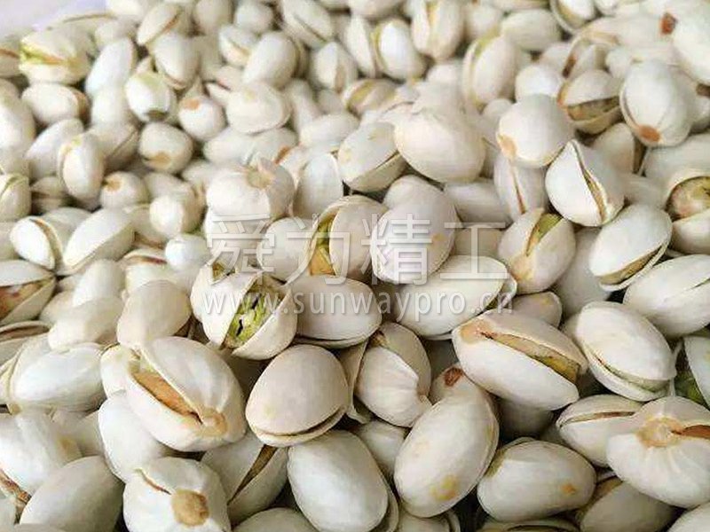 开心果真空耙式干燥机